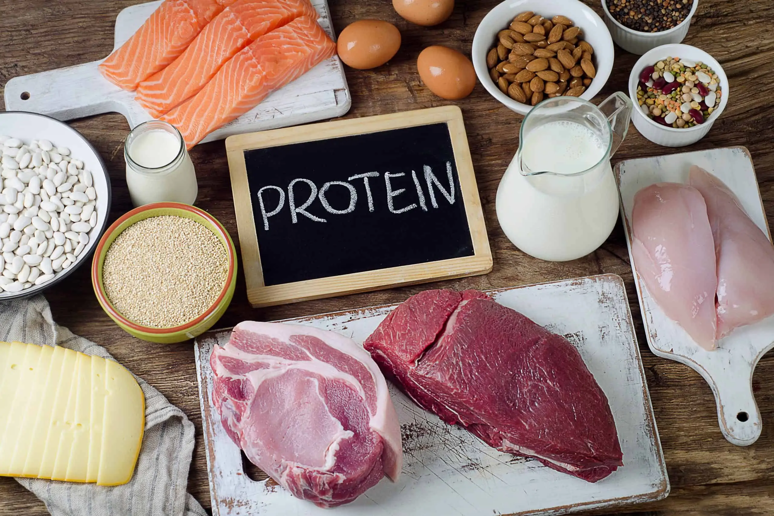 šta su proteini
