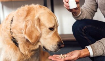 tablete protiv krpelja za pse – djelovanje, nuspojave, cijena, iskustva