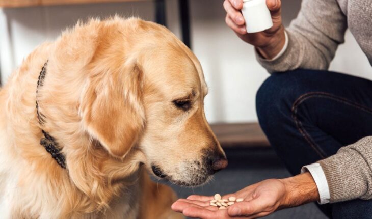 tablete protiv krpelja za pse – djelovanje, nuspojave, cijena, iskustva