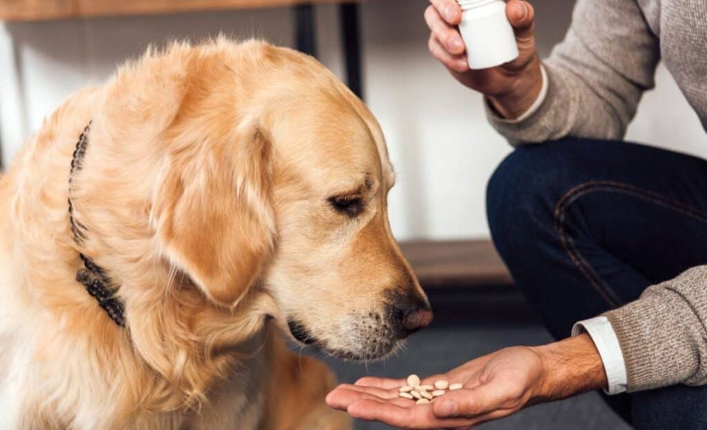 tablete protiv krpelja za pse