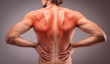 leđni mišić – vježbe za bolove