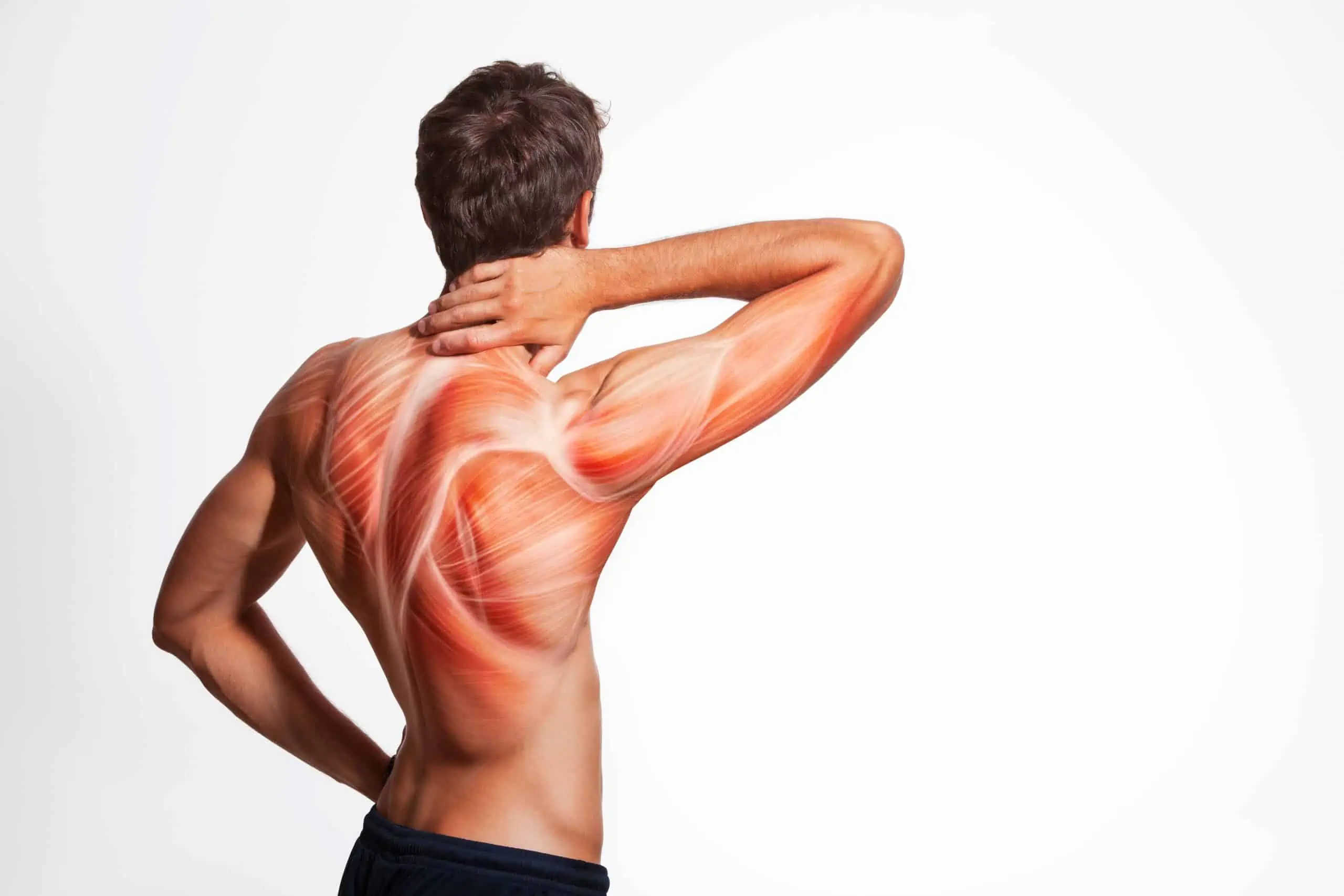 mišići leđa - vježbe za bolove
