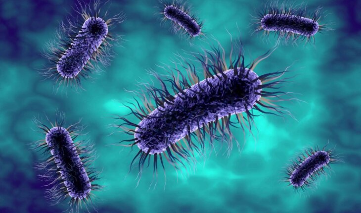 escherichia coli infekcije – uzrok, simptomi, liječenje