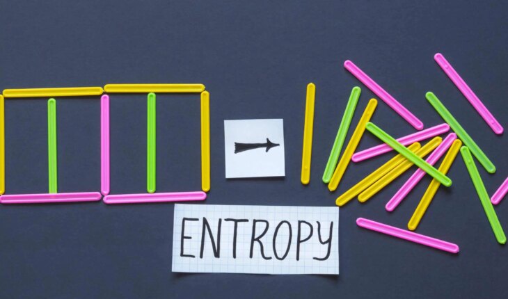 entropija – uzrok, simptomi, liječenje