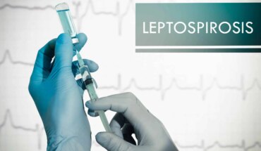 leptospiroze – uzrok, simptomi, liječenje