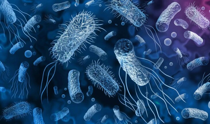 što su bakterije – arz.hr