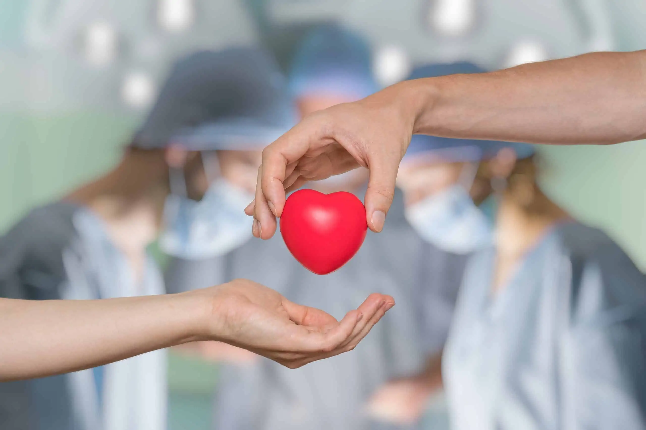 darivanje organa - kako postati darivatelj: odobravanje uzimanja organa
