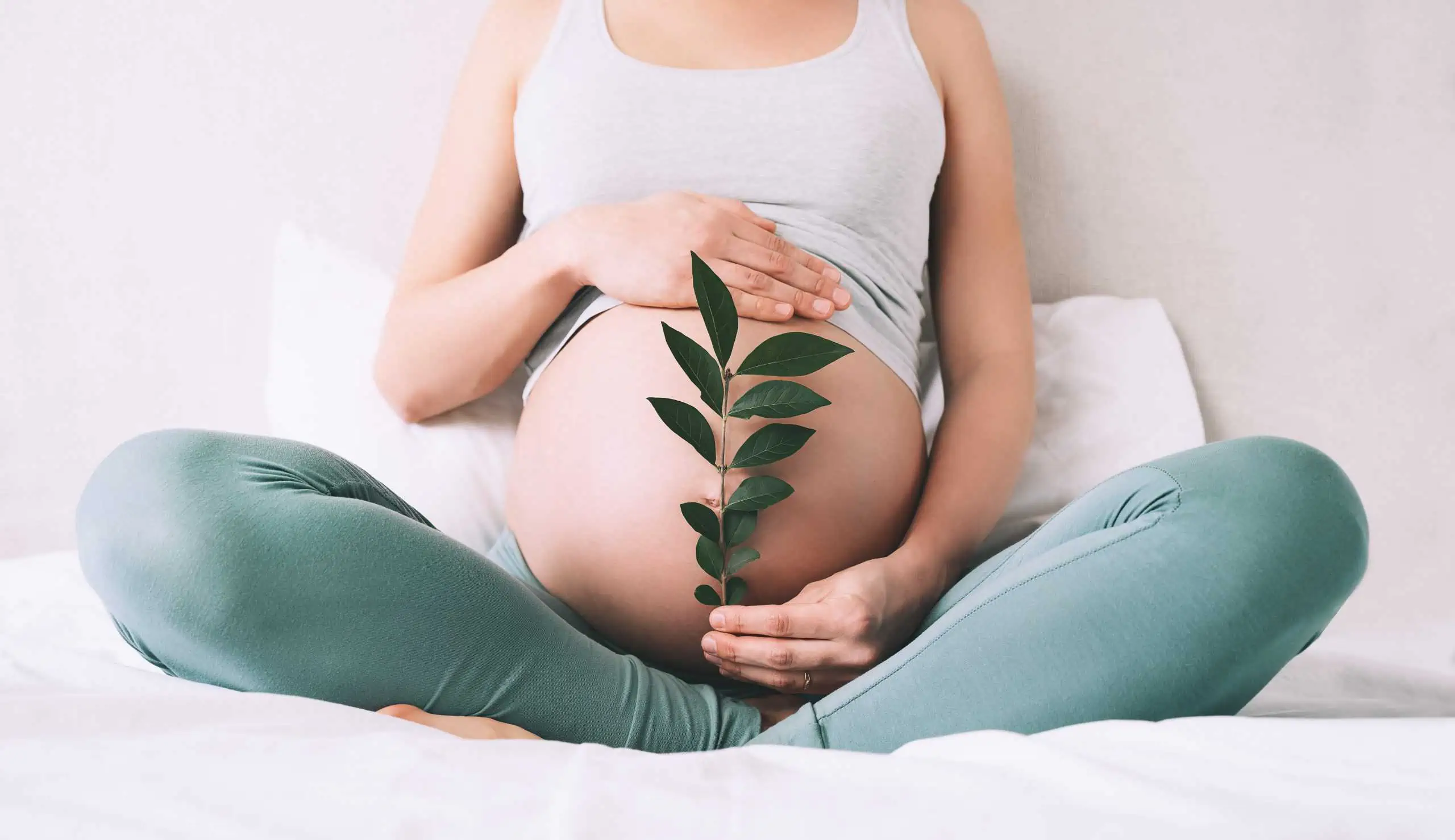 Kada ginekolog može utvrditi trudnoću