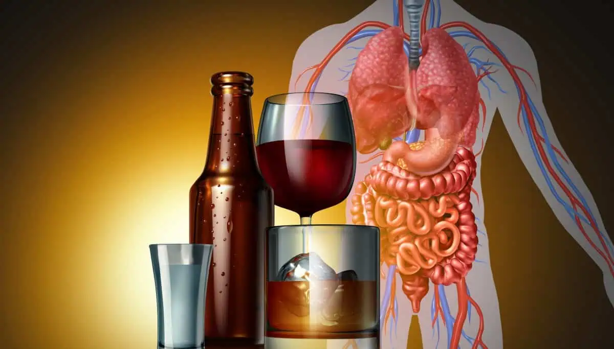 Da li pivo šteti jetri – AdresarSporta.rs