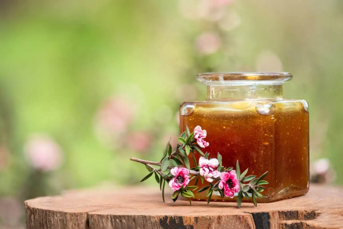 Manuka med za šta je dobar