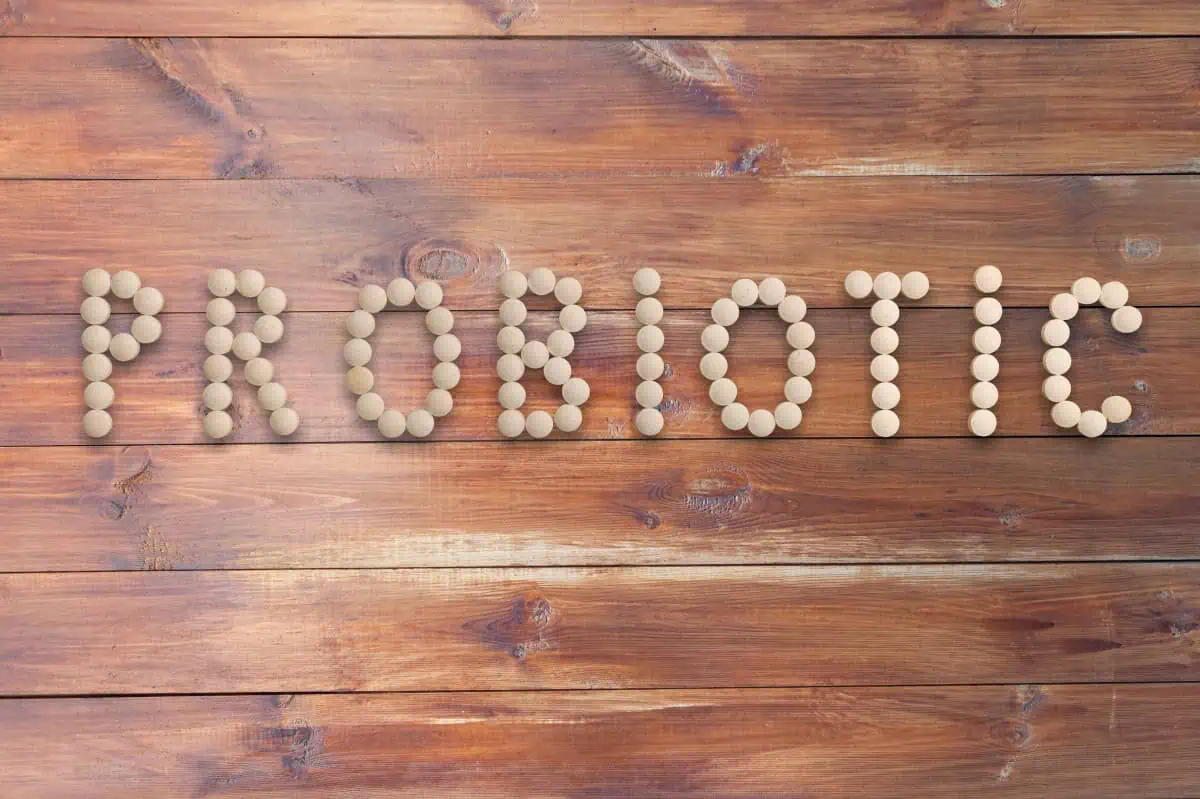 Kada piti probiotik – AdresarSporta.rs